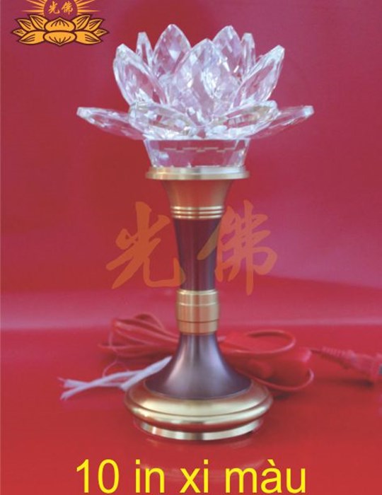 Đèn Bông Xi Màu 10in