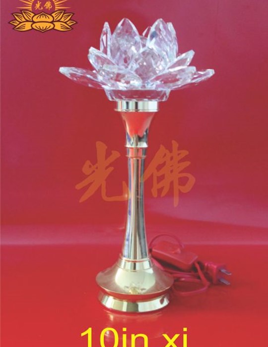 10 in xi