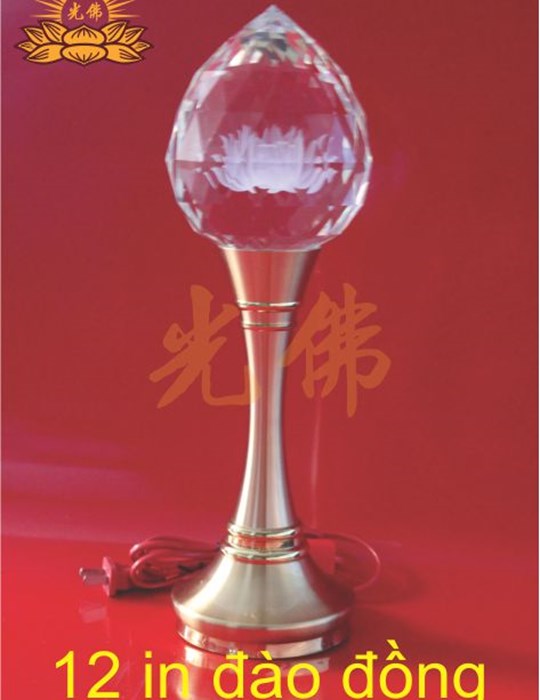12in đào đồng 
