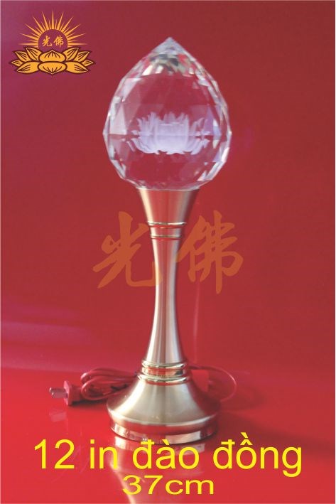 12in đào đồng 