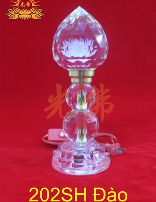 202sh dao