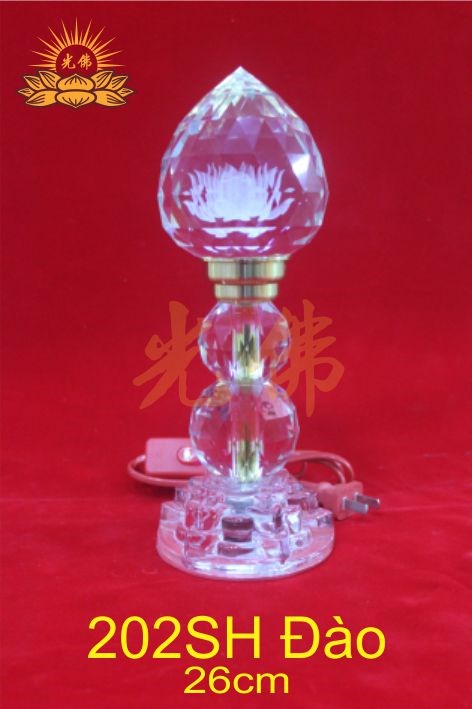 202sh dao