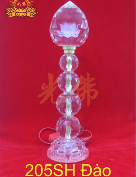 205sh dao