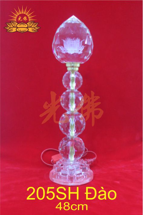 205sh dao