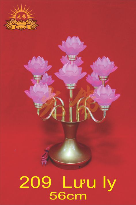 209 lưu ly