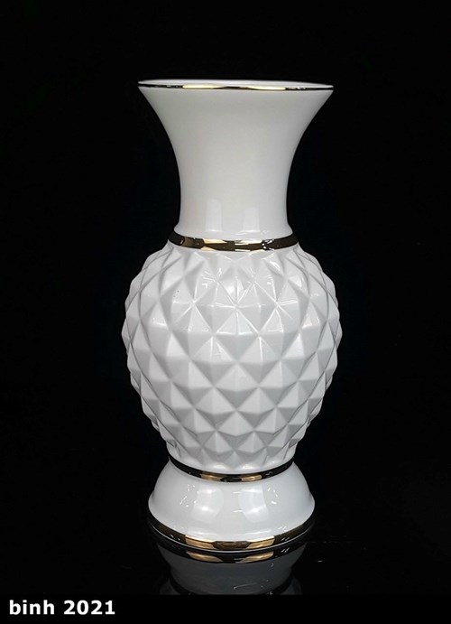 bình 2021 12in