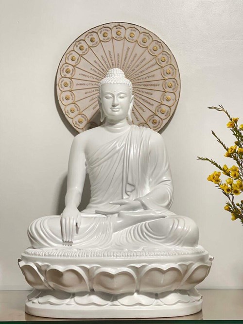bổn sư 60cm trắng
