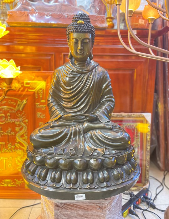 bổn sư 70cm