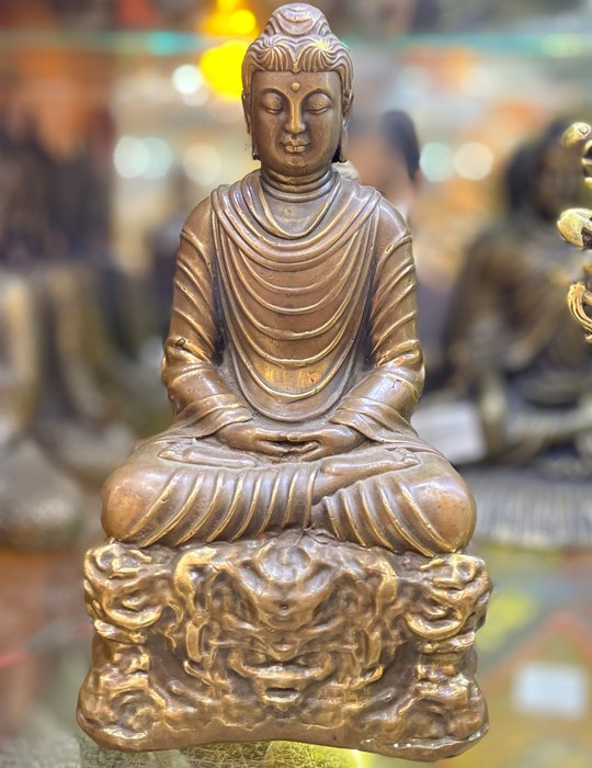 bổn sư ngồi 20cm