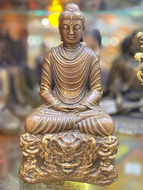 bổn sư ngồi 20cm