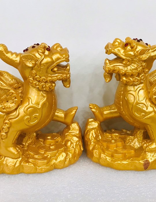 Cặp Kỳ Hưu B30