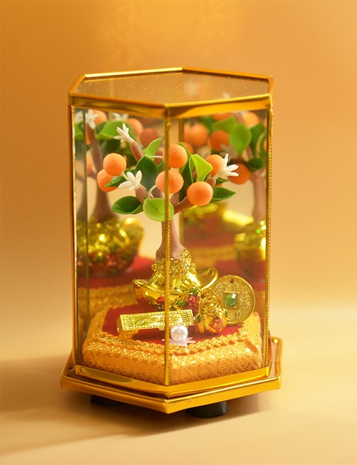 Cây quýt nhỏ