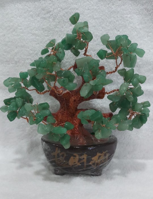 Cây tài lộc đế oval N