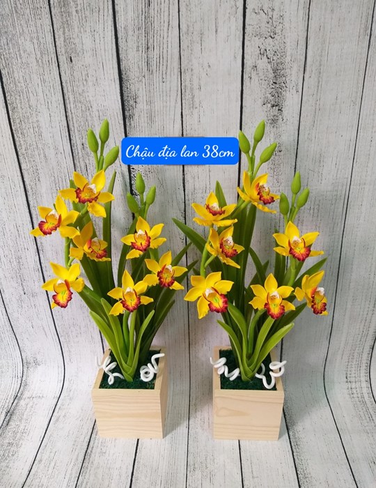 Chậu Địa Lan 38cm