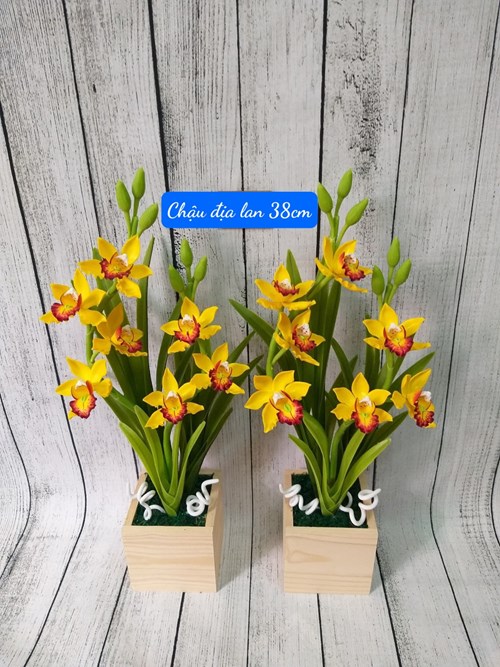 Chậu Địa Lan 38cm