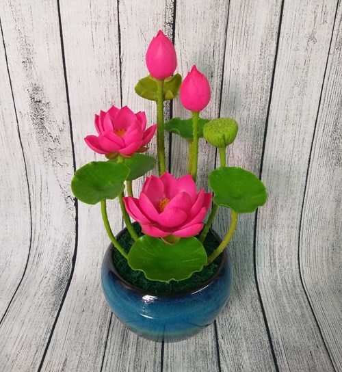 Chậu Hoa Sen Lớn 2 Bông