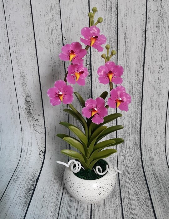 Chậu Vanda 38cm