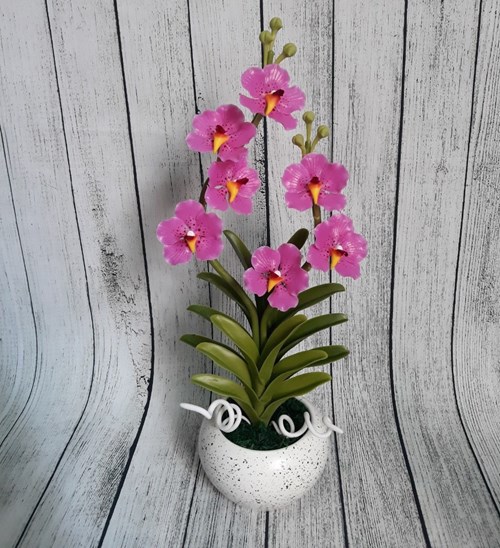 Chậu Vanda 38cm