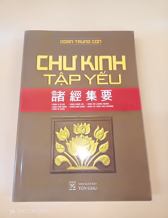 Chư kinh tập yếu