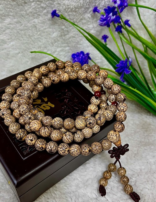 Chuỗi cổ bồ đề Ấn Độ 1