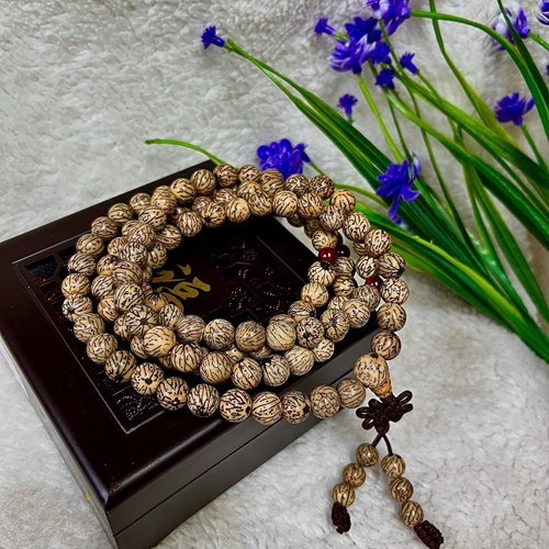 Chuỗi cổ bồ đề Ấn Độ 1