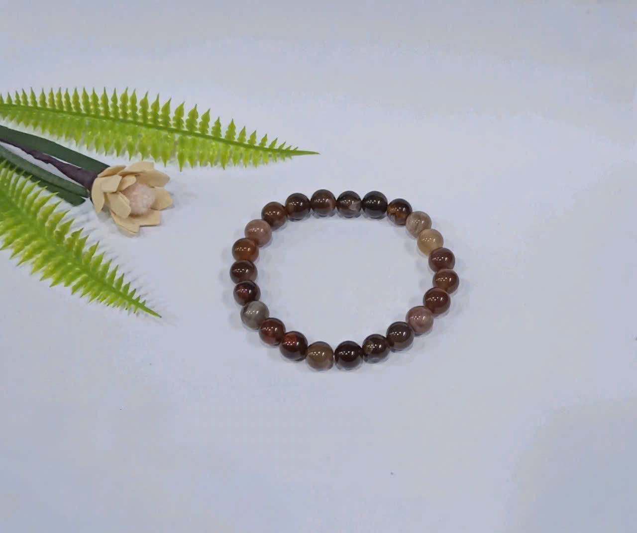 Chuỗi Gỗ Hoá Thạch 8li