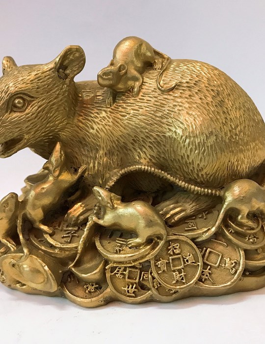 Chuột Ngồi Đế Vàng
