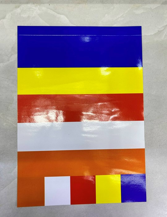 Cờ Giấy PG IN 20*30