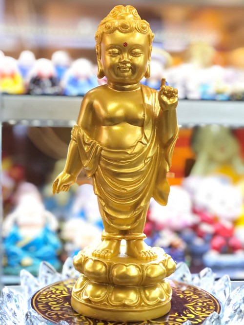 Đản Sanh 01 24cm NV