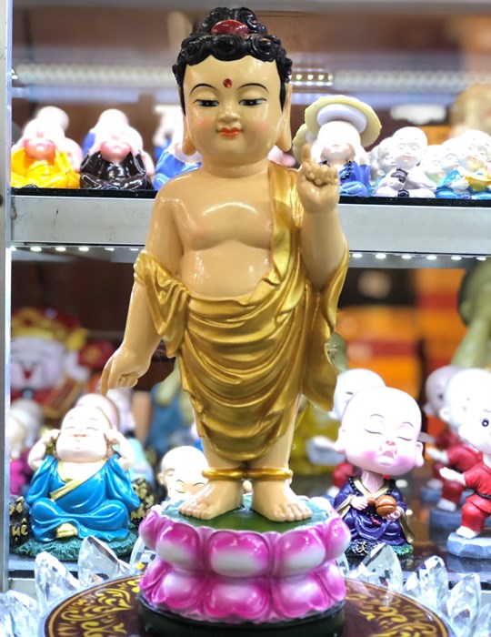 Đản Sanh 11 vẽ 24cm