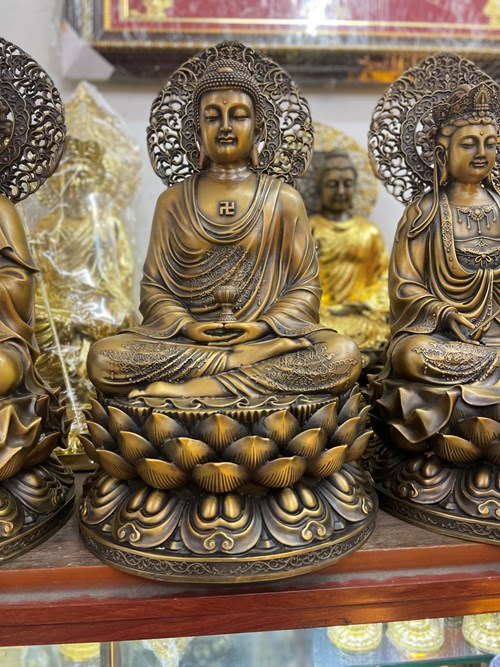 DI ĐÀ CAO 48CM