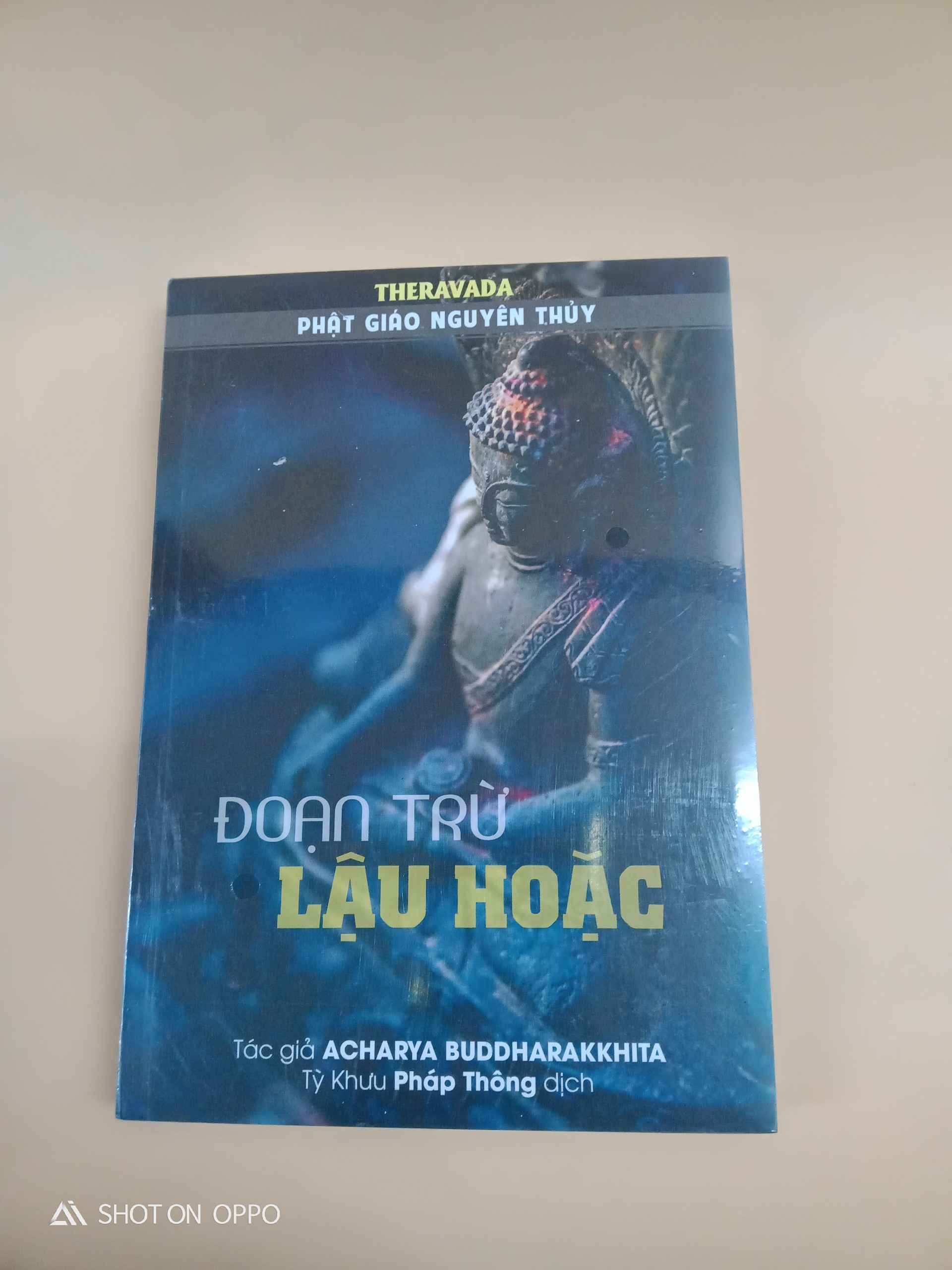 Đoạn trừ lậu hoặc