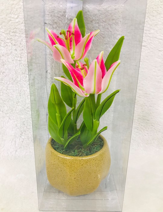 Hoa lily 110