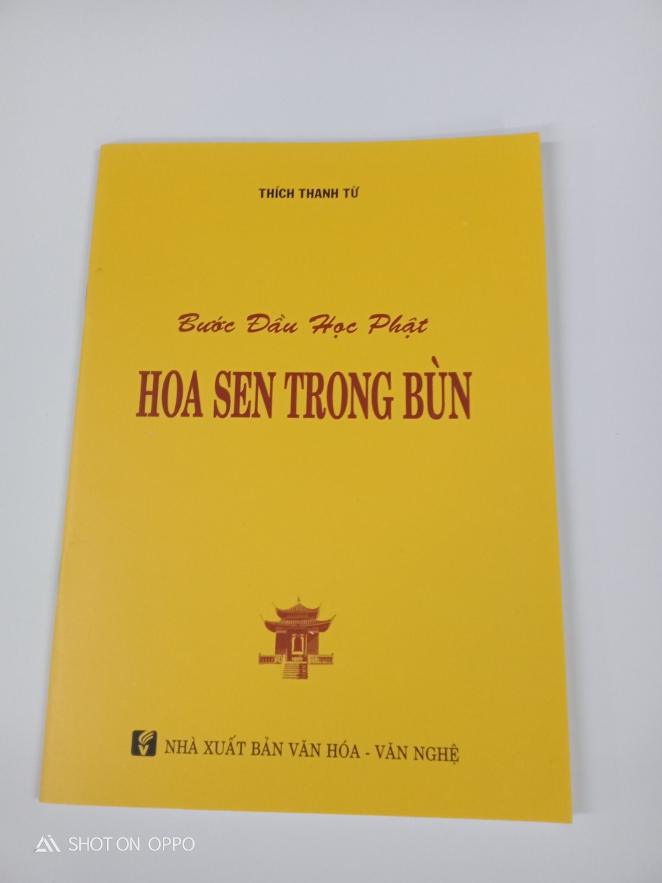 Hoa Sen Trong Bùn