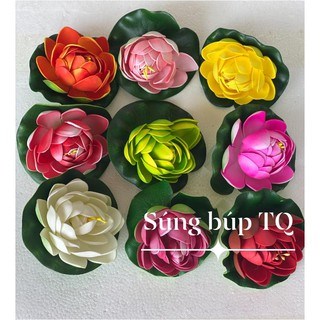 Hoa súng thả nước búp TQ