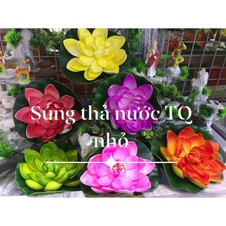 Hoa súng thả nước TQ nhỏ