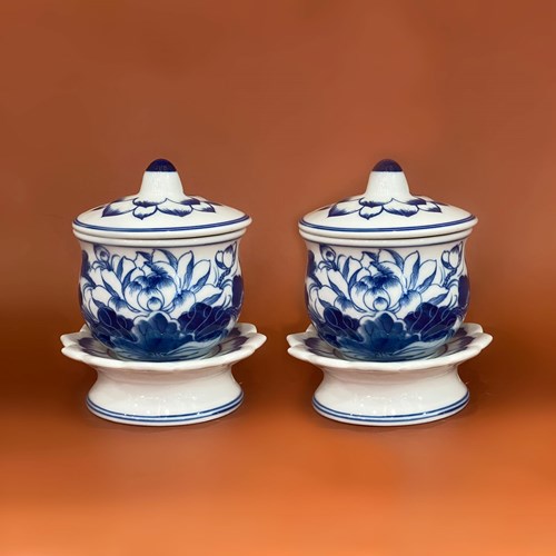 Hủ sen đại VPTA