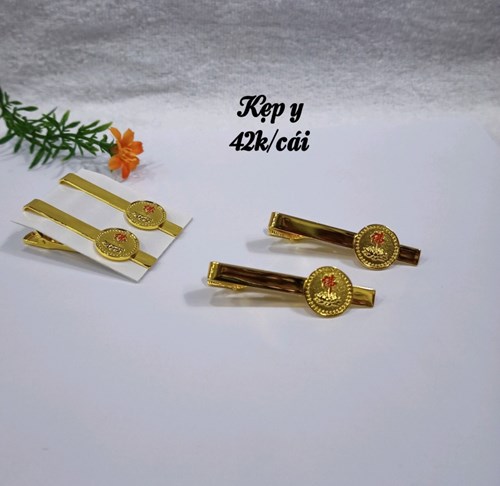 Kẹp y xịn 1