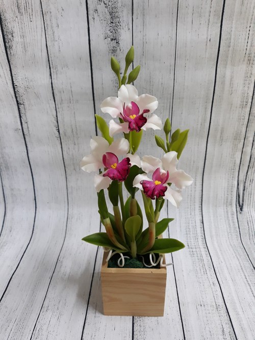 Lan Châu Khiêm 33cm