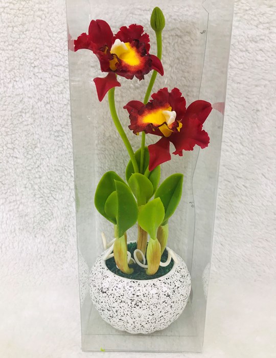 Lan Hoàng Hậu Đỏ