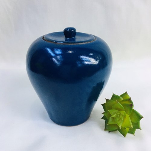 Lọ chè ms21
