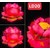 lồng đèn hoa sen lớn LD20 hồng