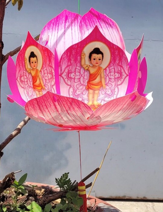 Lồng đèn hoa sen Mandala lớn hồng