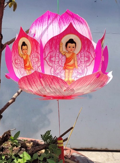 Lồng đèn hoa sen Mandala lớn hồng