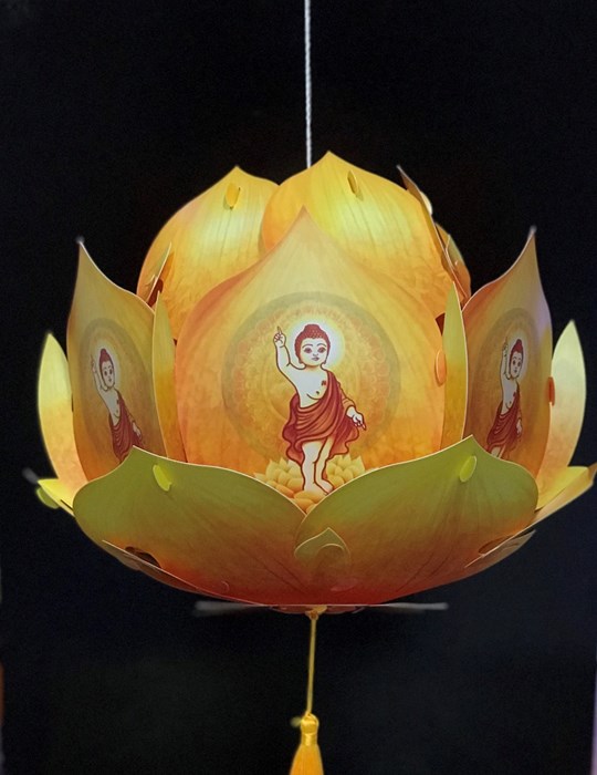 Lồng đèn sen vàng LD14
