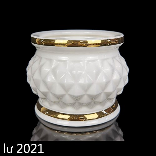 Lư 2021 5 in