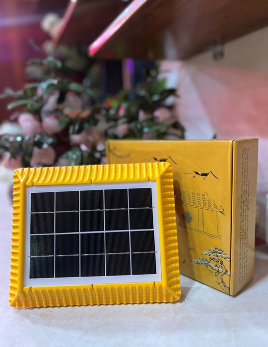 Máy NP Năng Lượng Mái Chùa