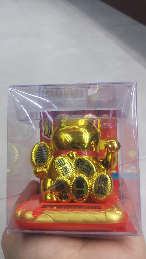 MÈO NGOẮC 23013