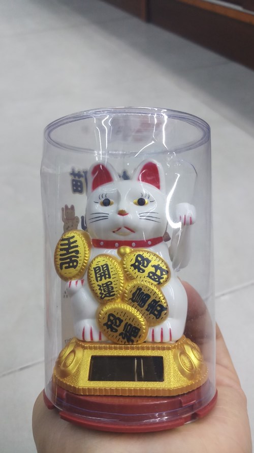MÈO NGOẮC 23017-C