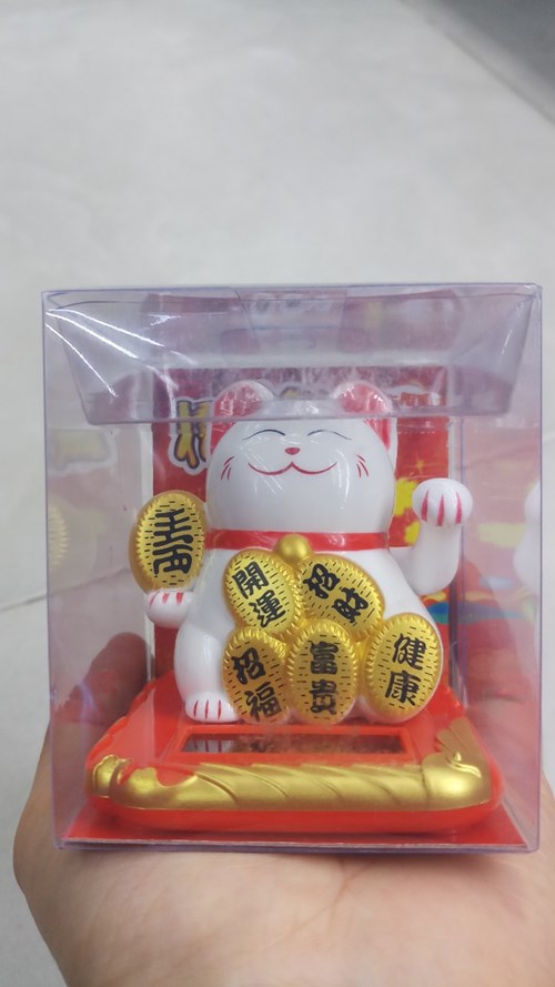 MÈO NGOẮC NL 23013